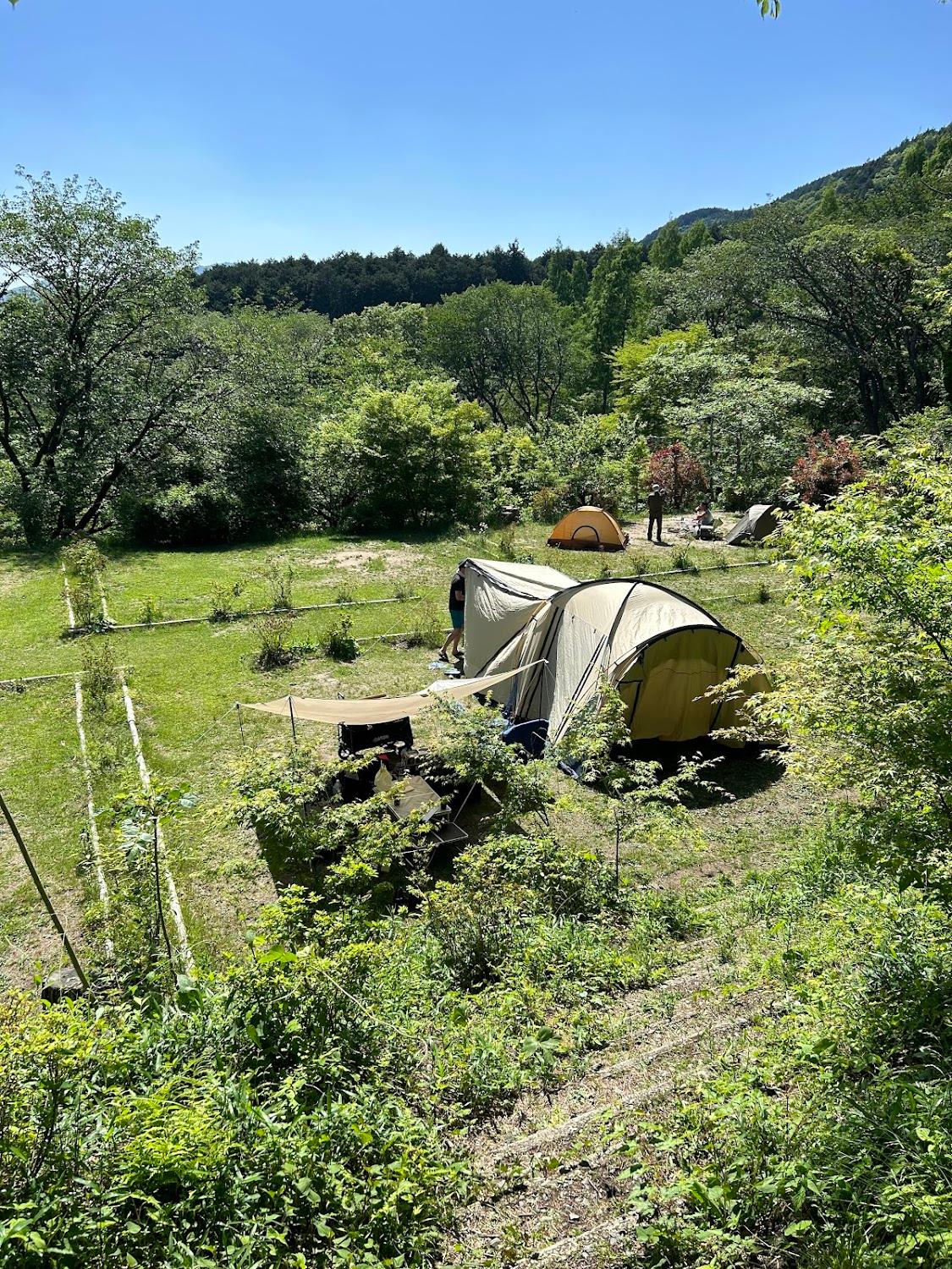 Cover Image for Campsite & Guesthouse in Former Senshinkan site.