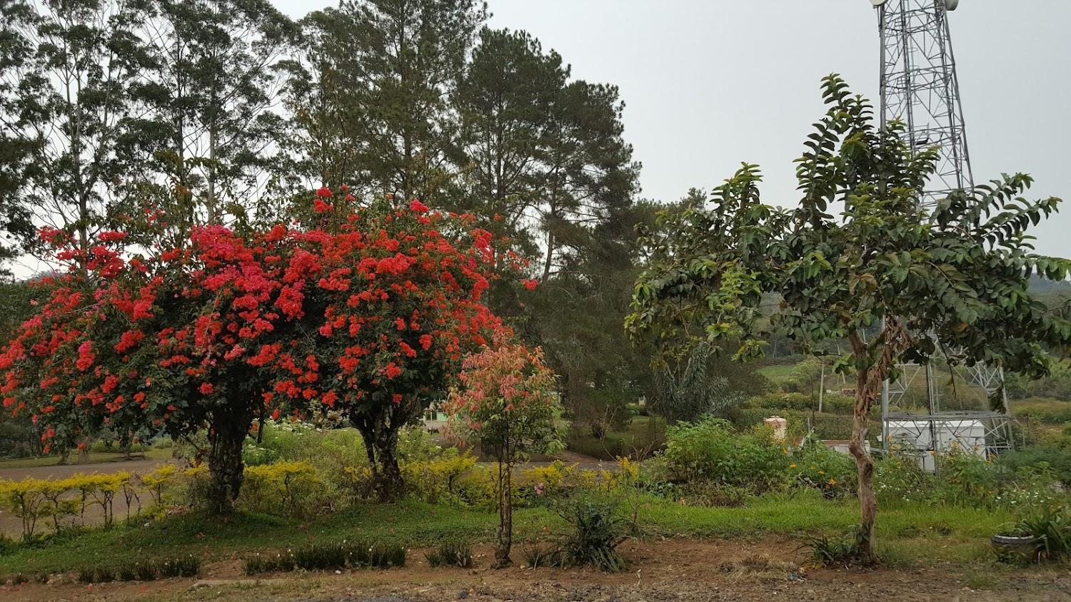 Cover Image for ABADI Guest House
