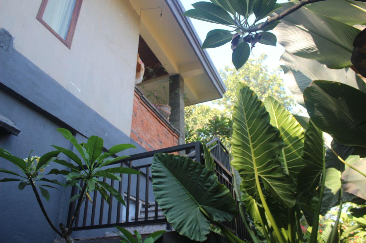 Cover Image for Kas Komala