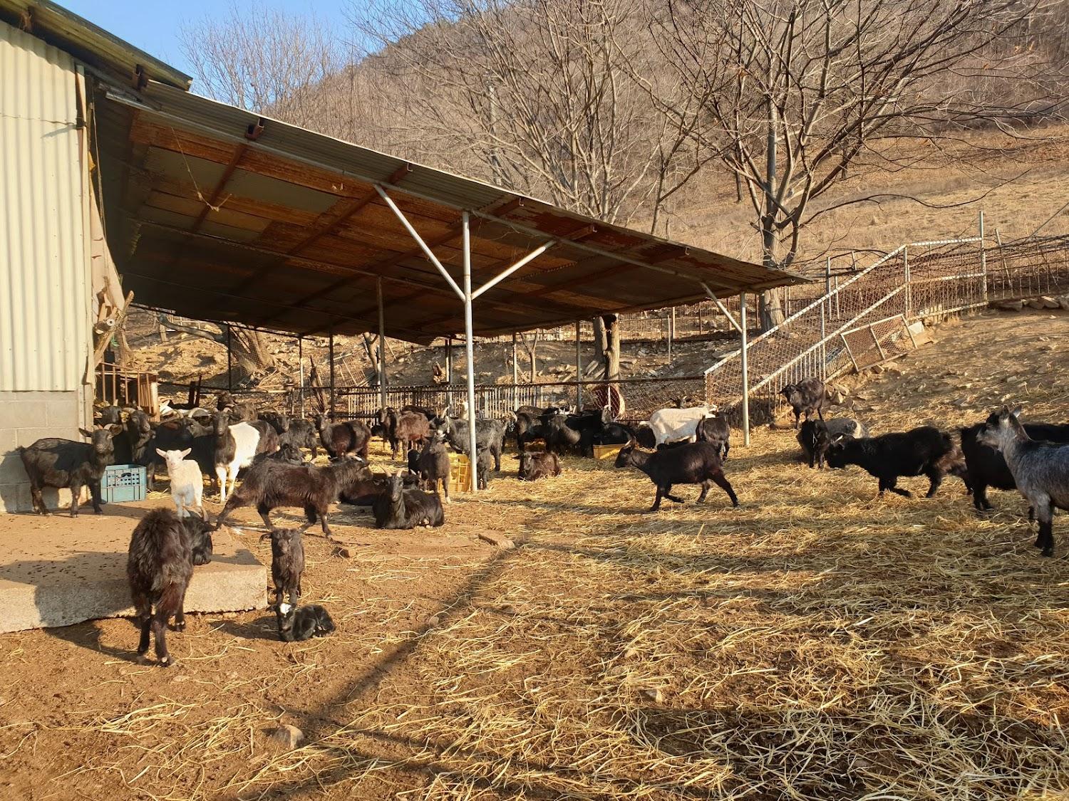 Cover Image for 정우농장
