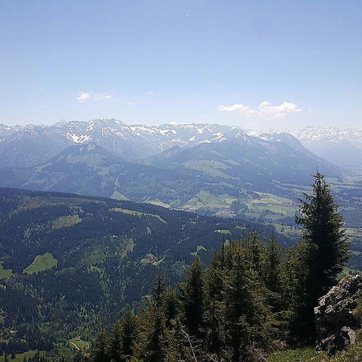 Cover Image for Alpseehof oHG