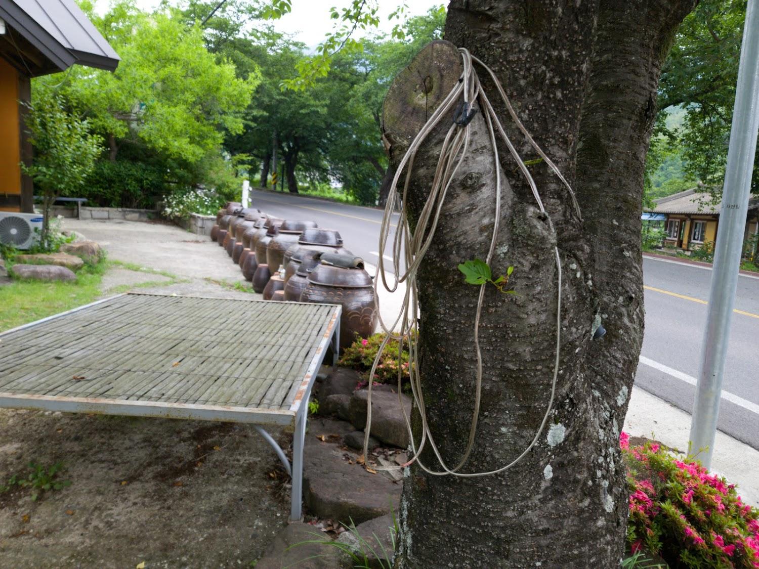 Cover Image for Hadong Sopungbang Pension