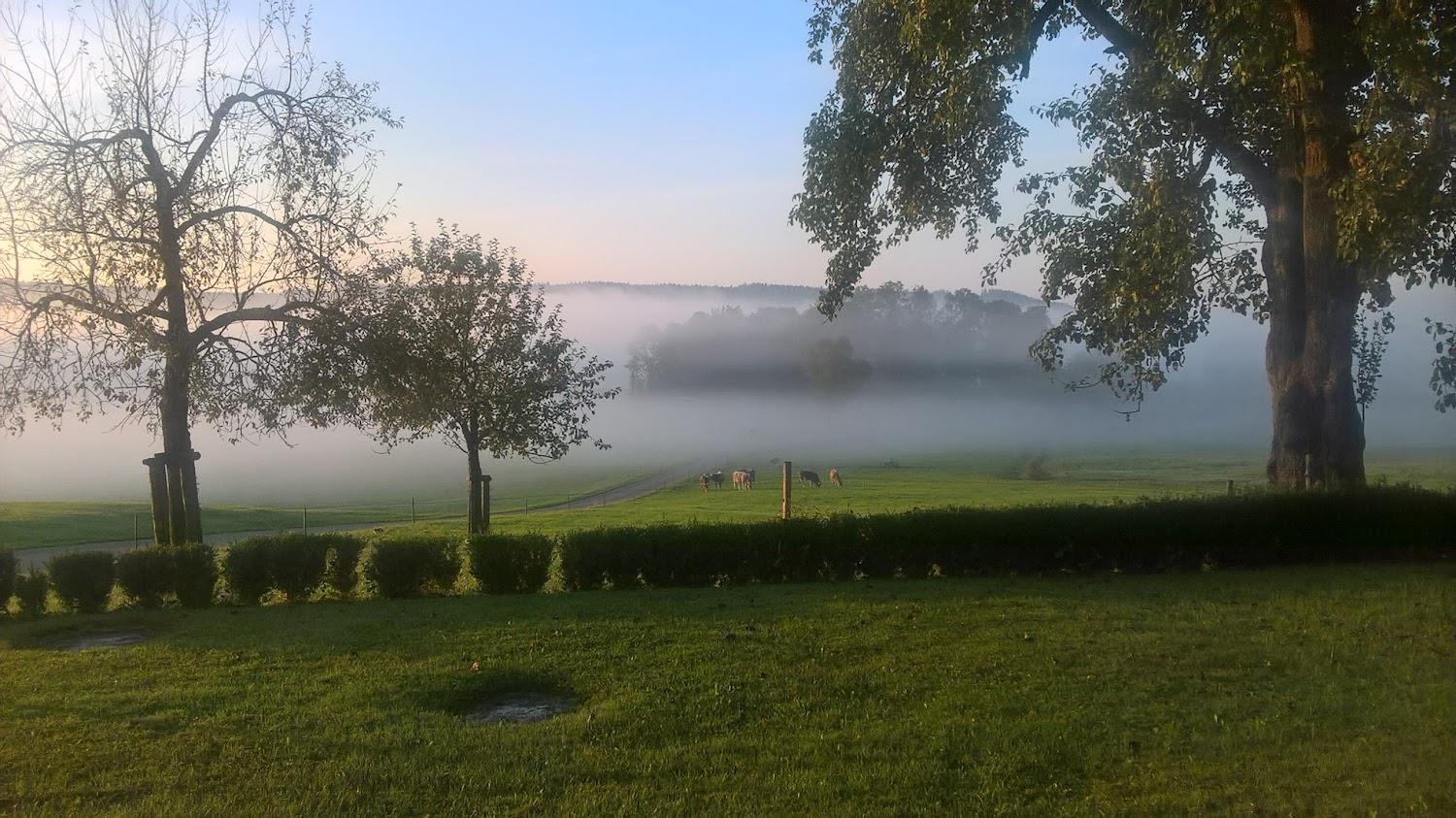 Cover Image for Ferienhof Frei