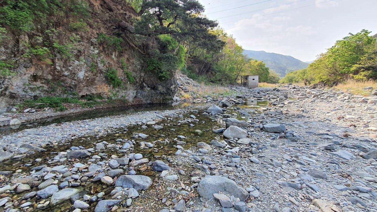 Cover Image for Pohang Mushroom House Pension