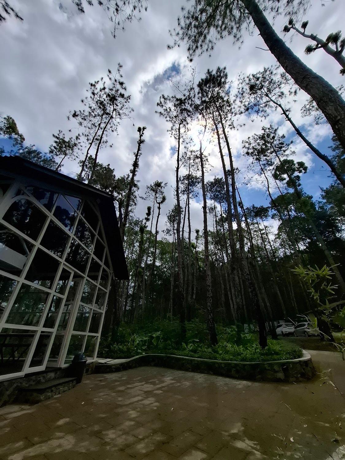Cover Image for Lafinobatur batur