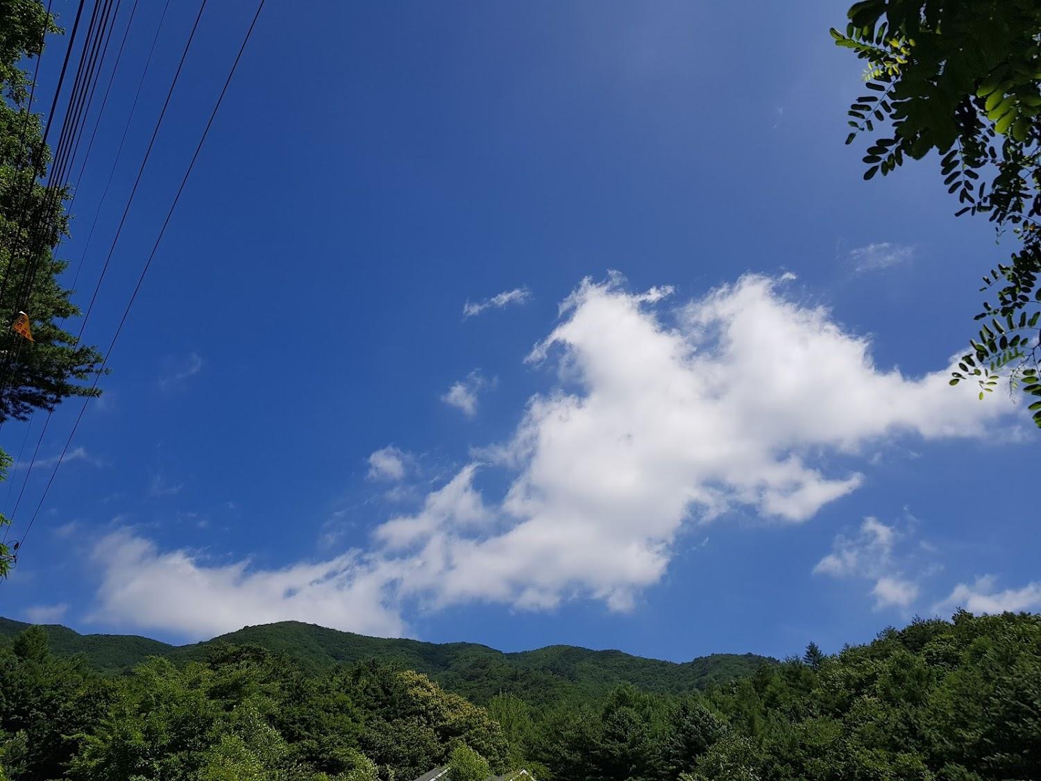 Cover Image for 하늘아래펜션