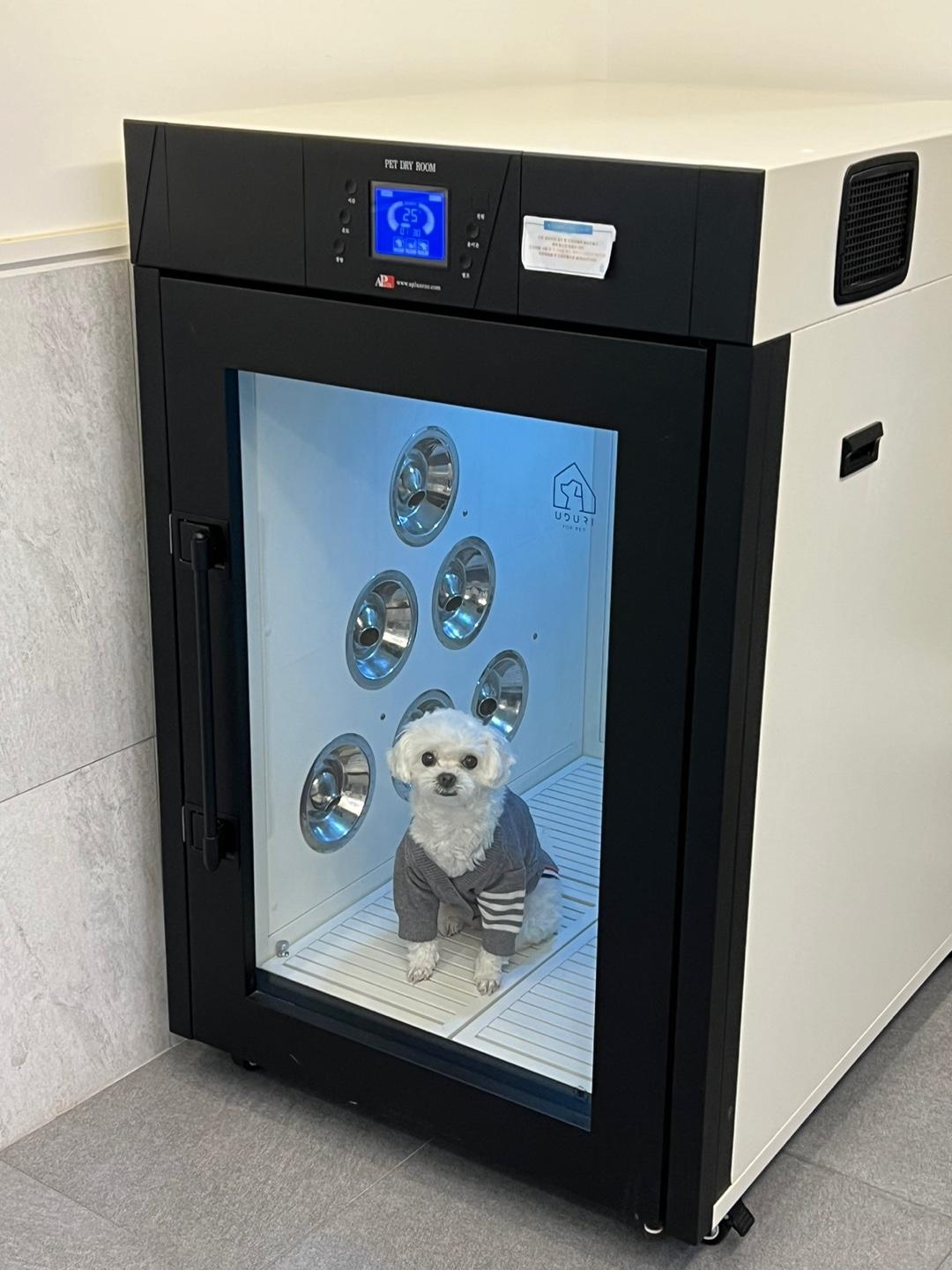 Cover Image for Wooduri Poppet Dog Pension
