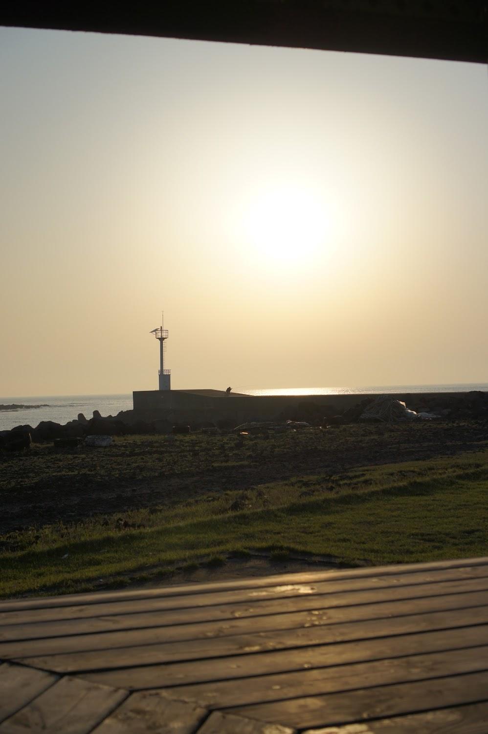 Cover Image for 코지하우스