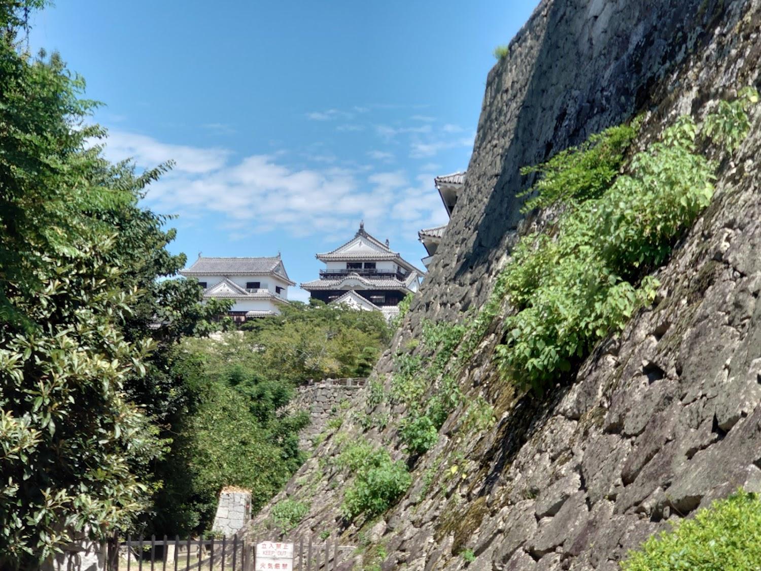 Cover Image for Shouryu
