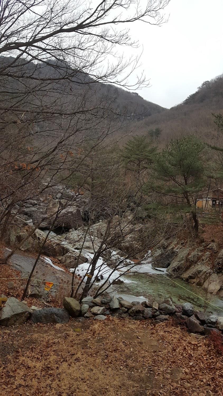 Cover Image for 숲속의하얀집