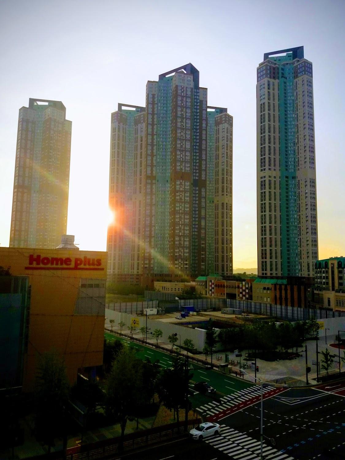Cover Image for 켈리포니아호텔