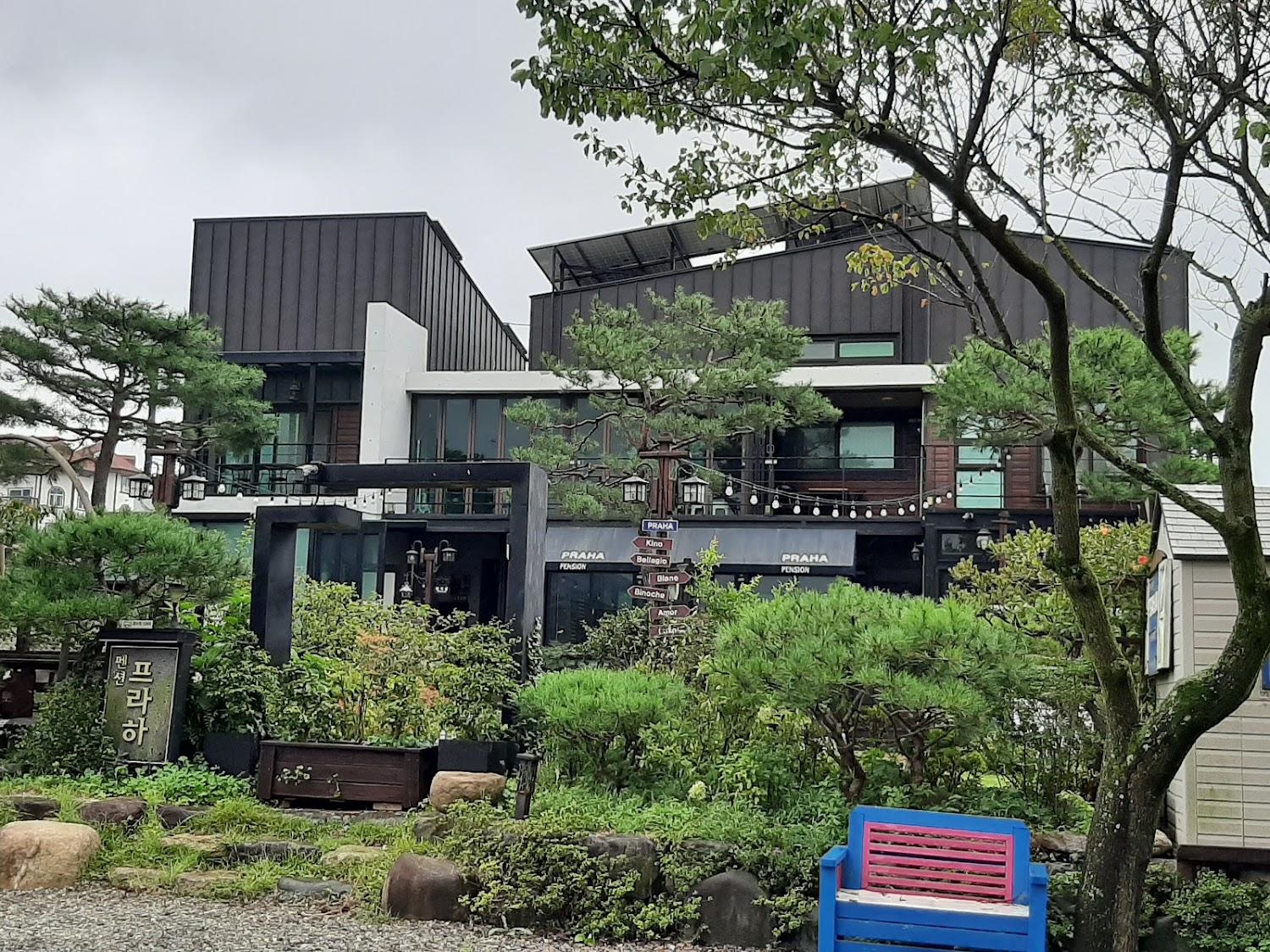 Cover Image for 프라하펜션