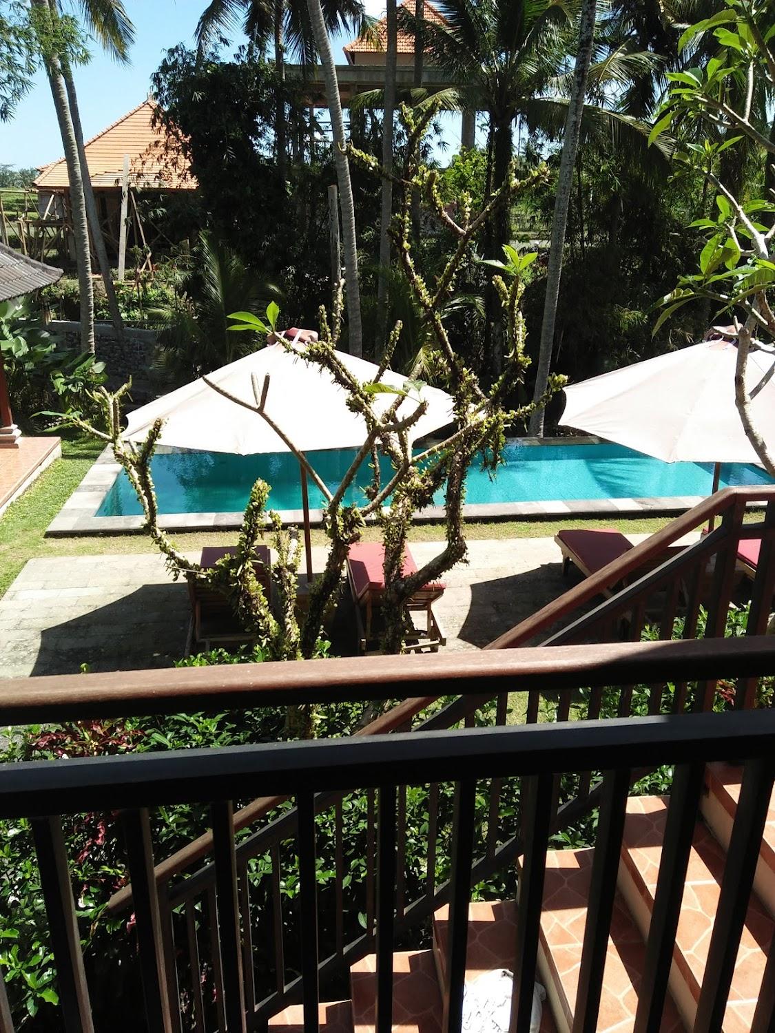 Cover Image for Buah Nagasari Cottage