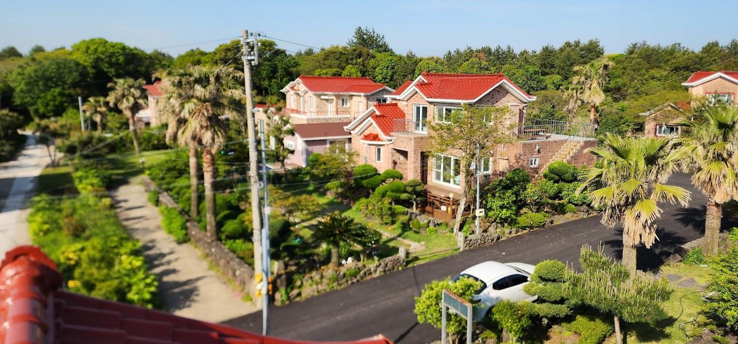Cover Image for 올레하우스