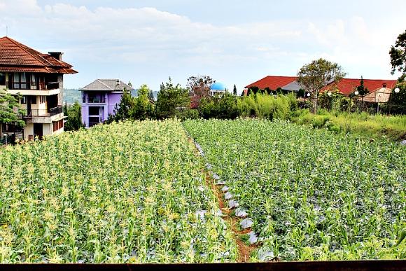 Cover Image for De Villa 1 Istana Bunga by House in Bandung