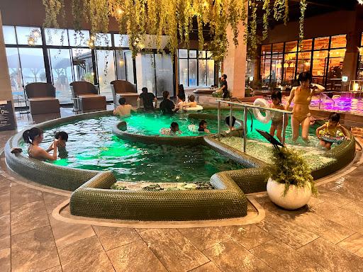 Cover Image for Ark Land Spa