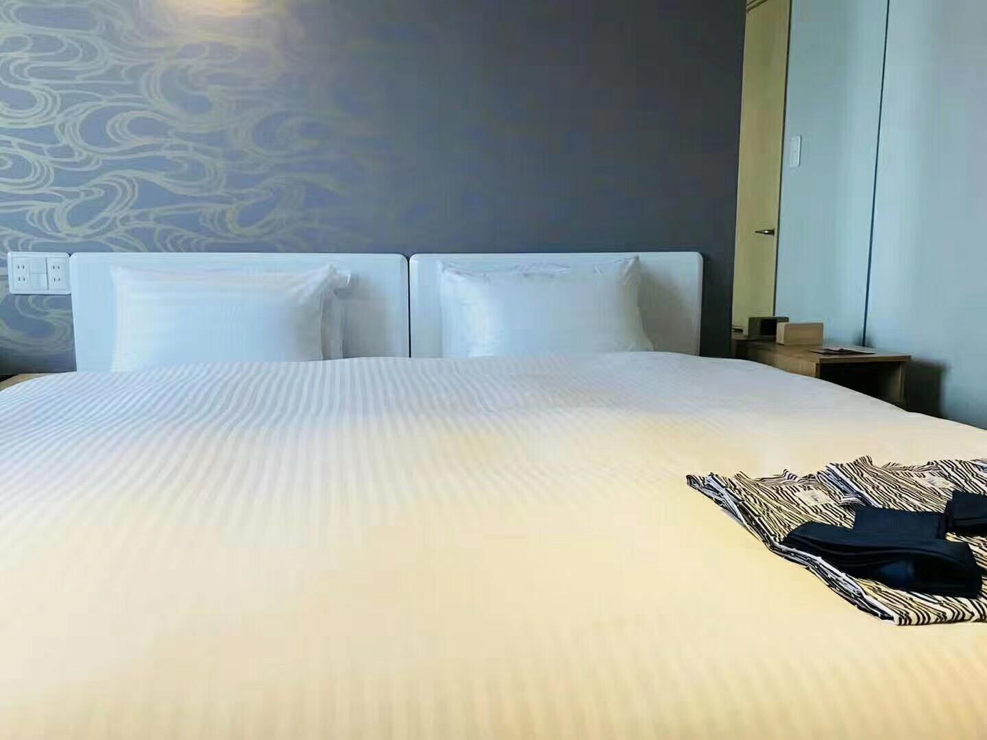 Cover Image for Matsuishi Shijo Karasuma Hostel