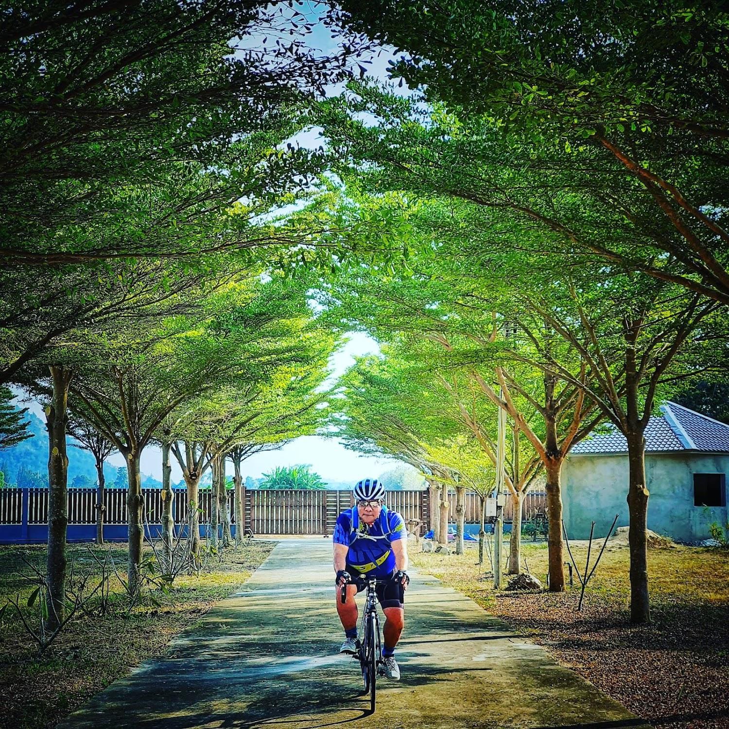 Cover Image for ป่าสักรีสอร์ท