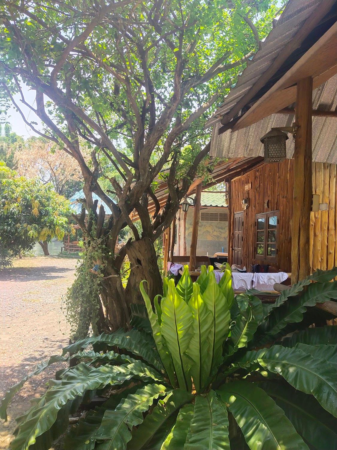 Cover Image for Baan Morning