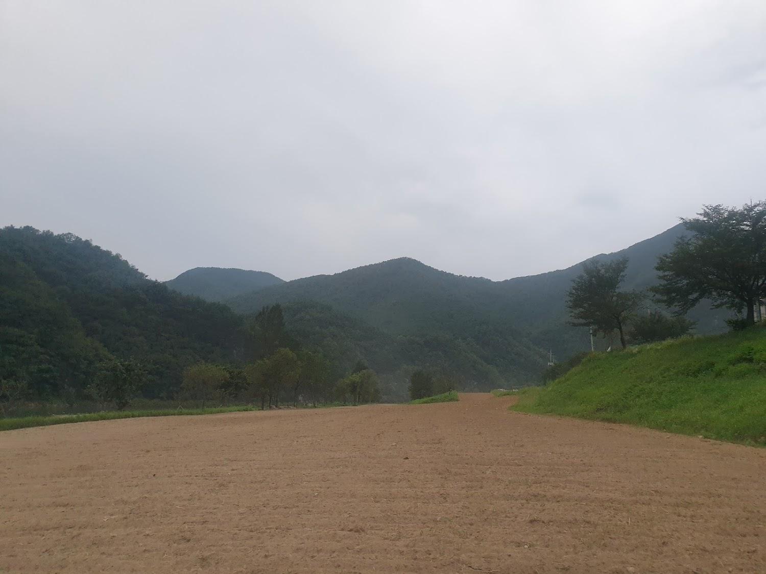 Cover Image for 동강하소엘