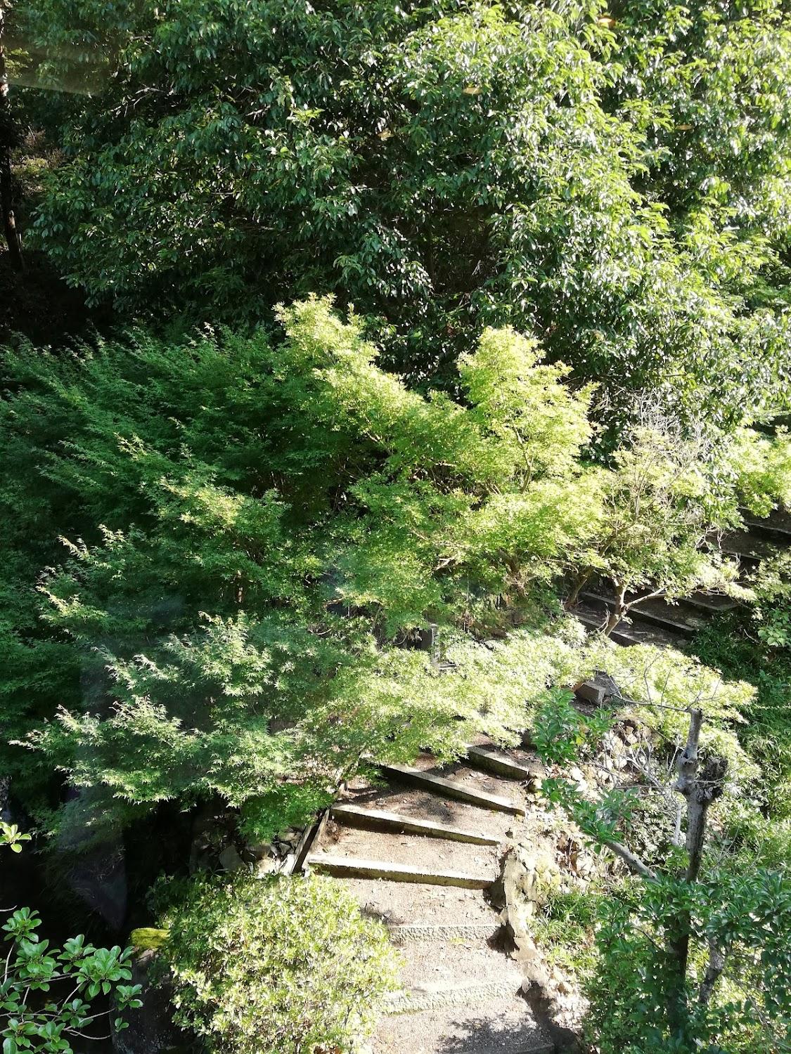 Cover Image for Wake Ukaidani Onsen