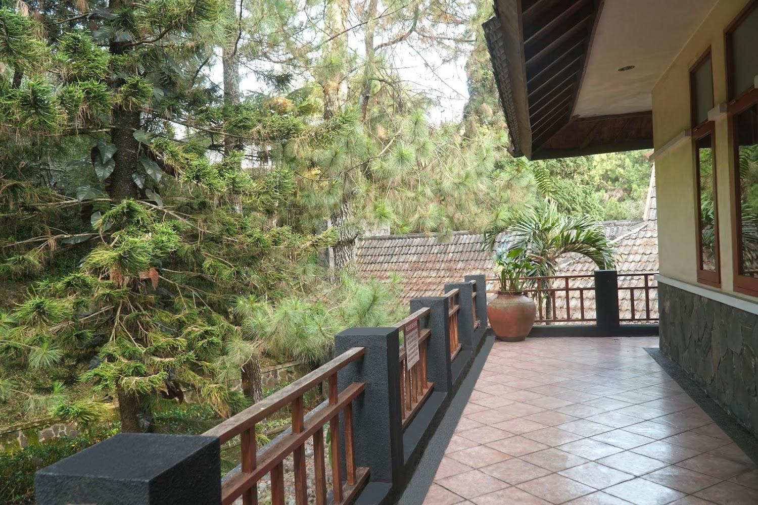 Cover Image for The Penthouse Resort