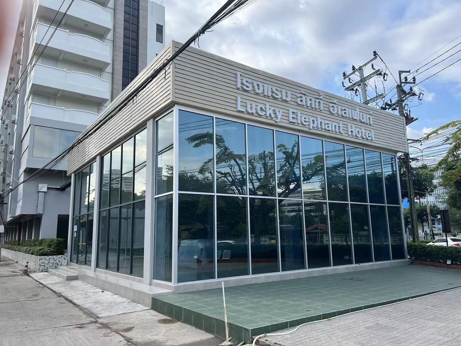 Cover Image for Lucky Elephant Hotel