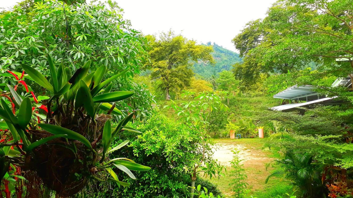 Cover Image for ปัฏมา รีสอร์ท Pattama Resort Kiriwong