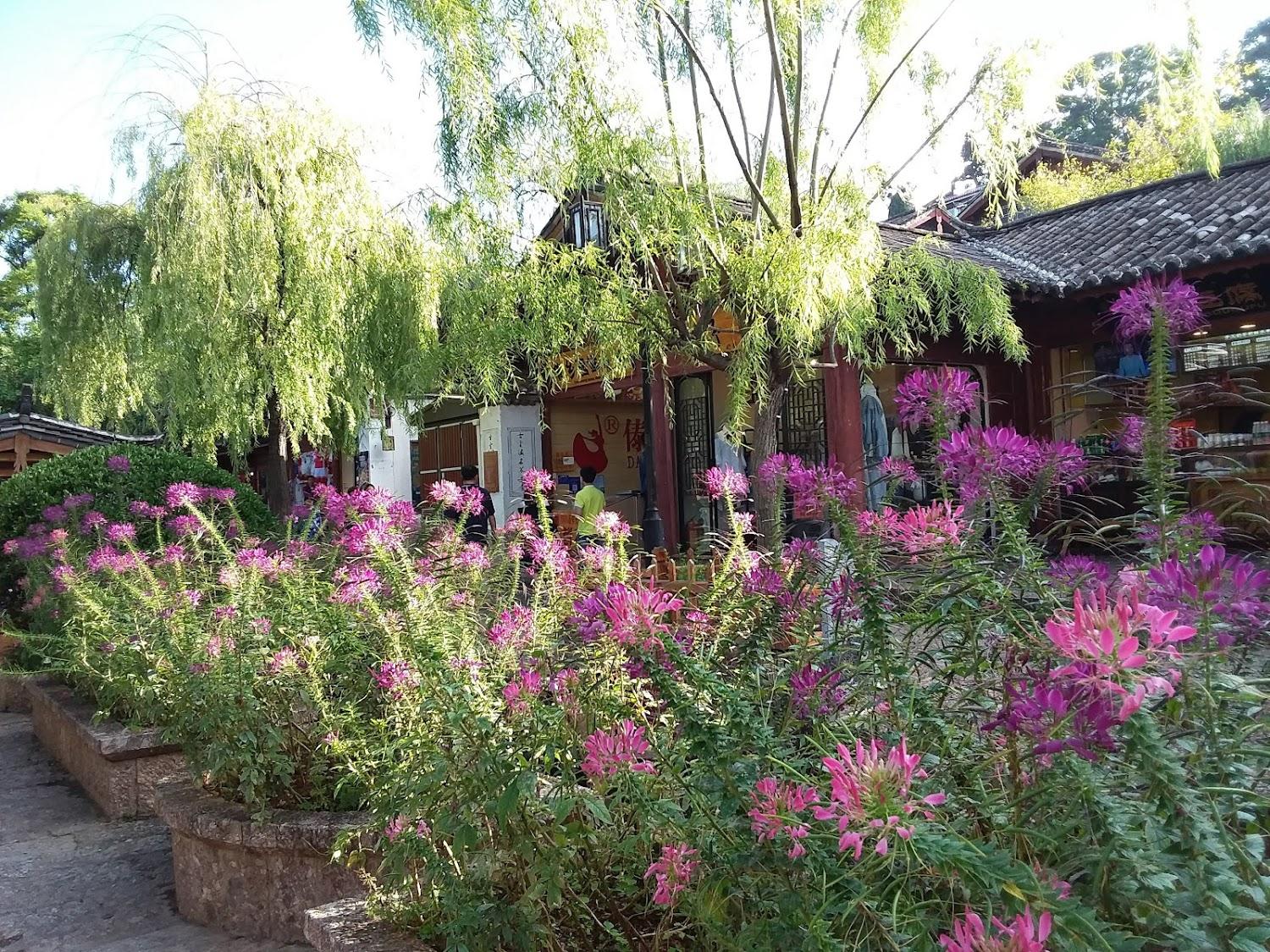 Cover Image for Hanting Express Lijiang Ancient Town Da Shui Che Branch