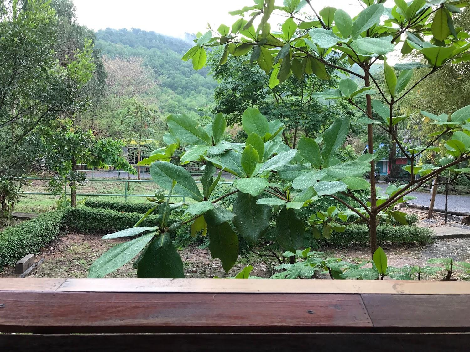 Cover Image for ริมภูรีสอร์ท ภูเวียง Rimphu Resort