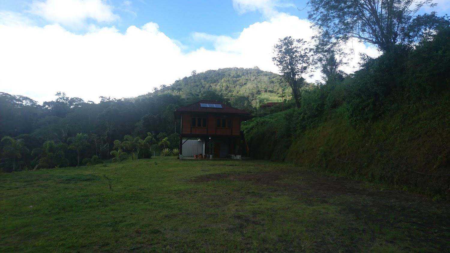 Cover Image for Candlenut Treehouse