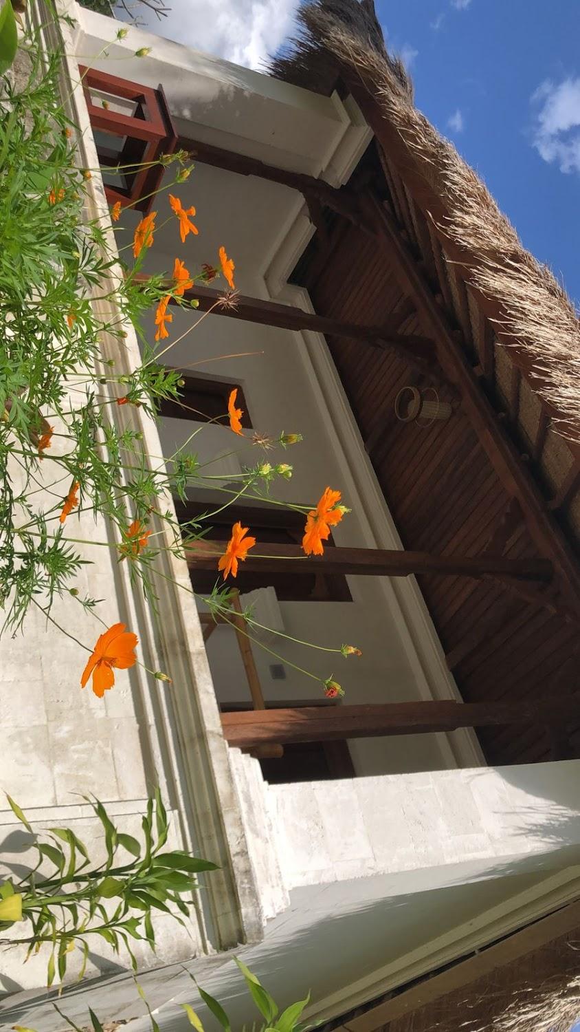 Cover Image for Umah Ilu Island Retreat