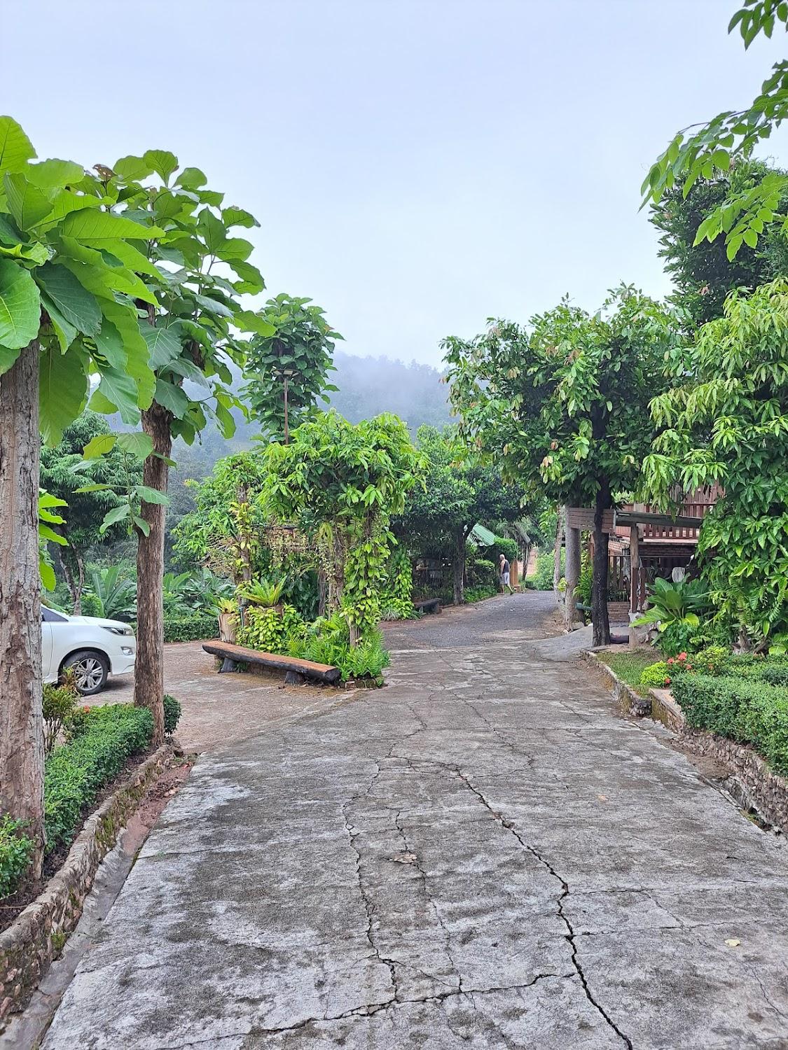 Cover Image for Tong Fah Camping