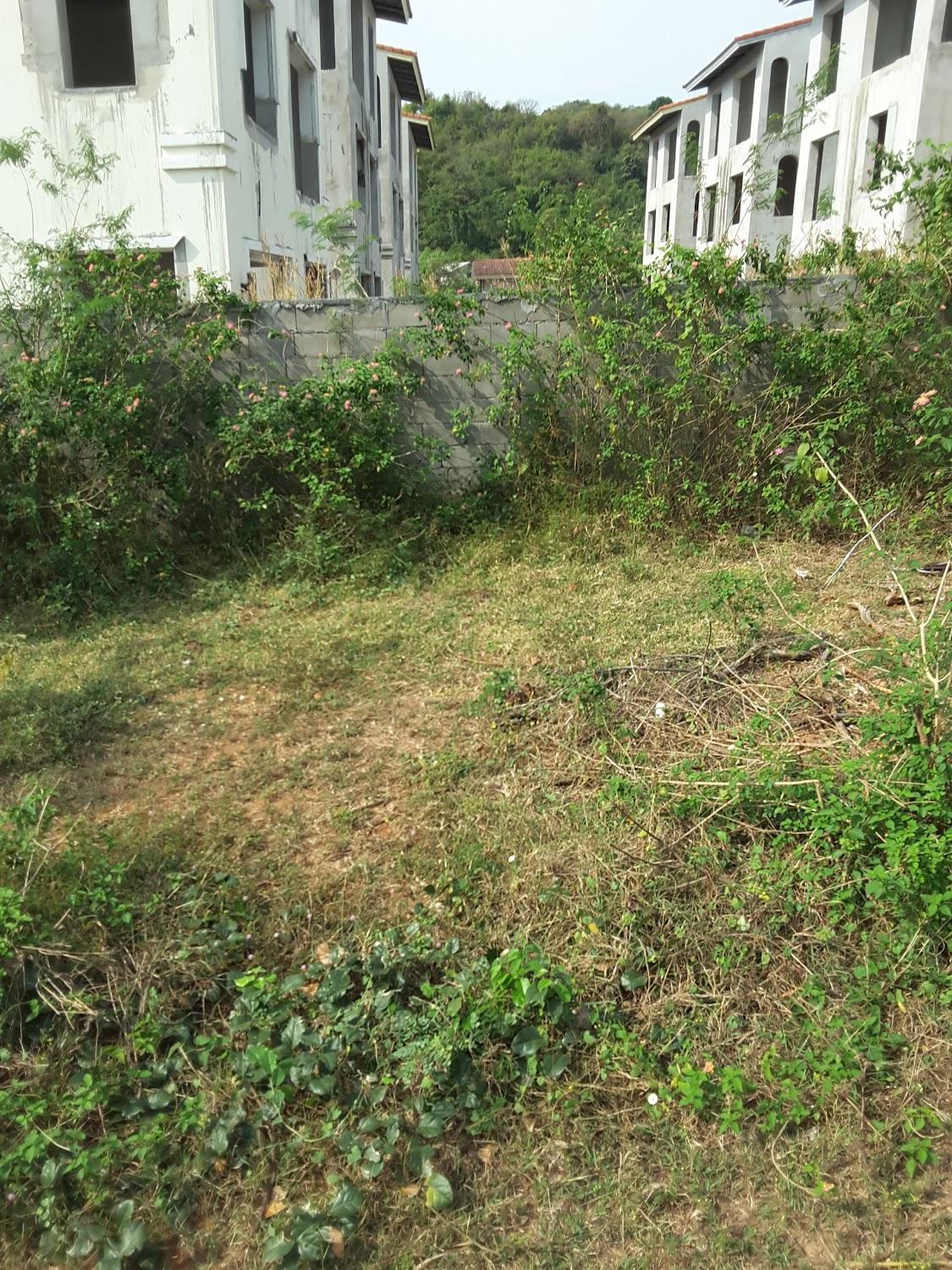 Cover Image for Baan Phu Chom Lae