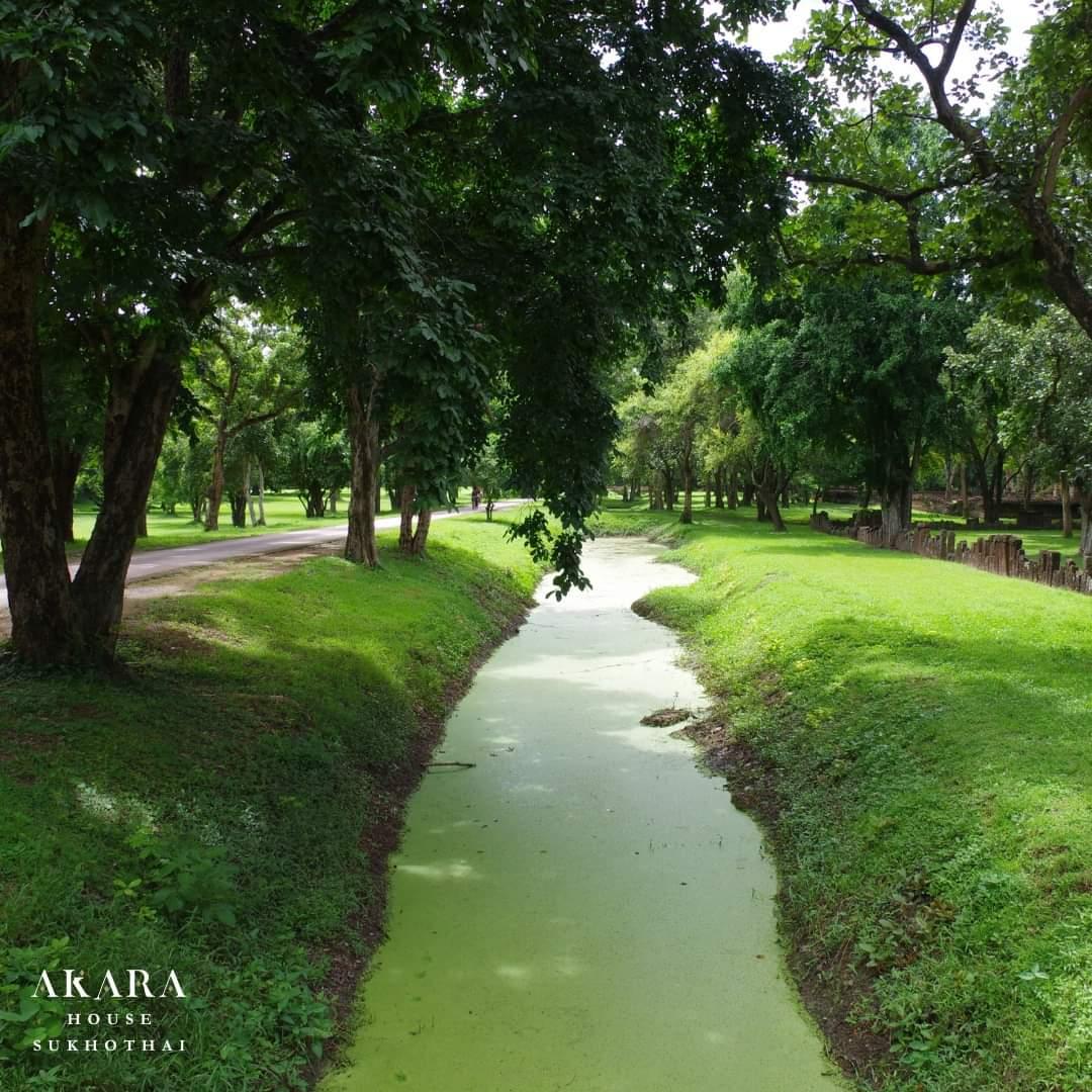 Cover Image for Akara House Sukhothai บ้านอัคระสุโขทัย
