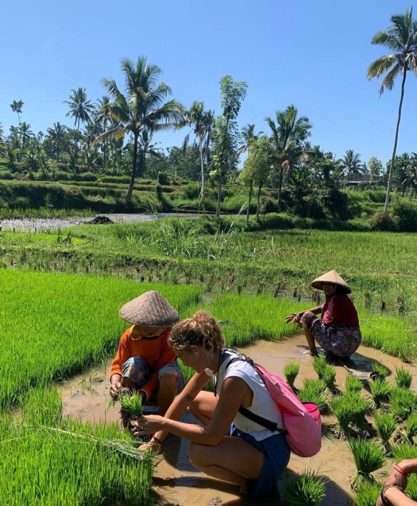 Cover Image for Farmer homestay