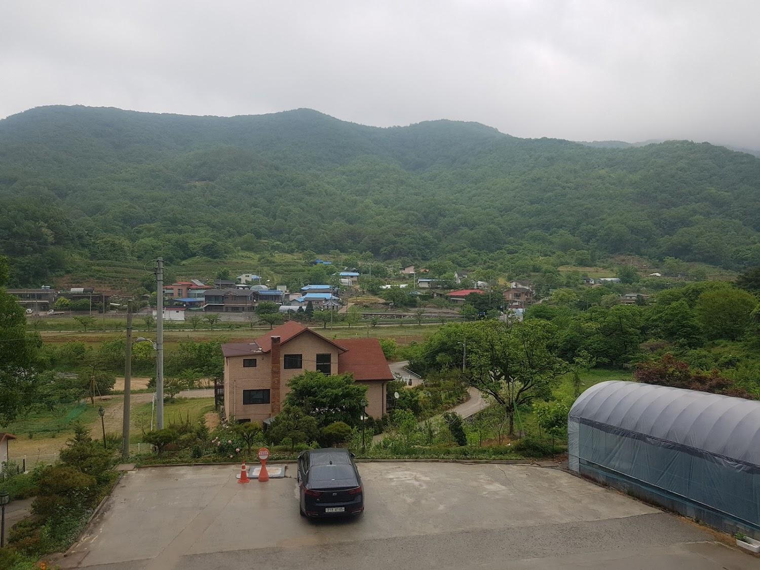 Cover Image for 솔빛팬션