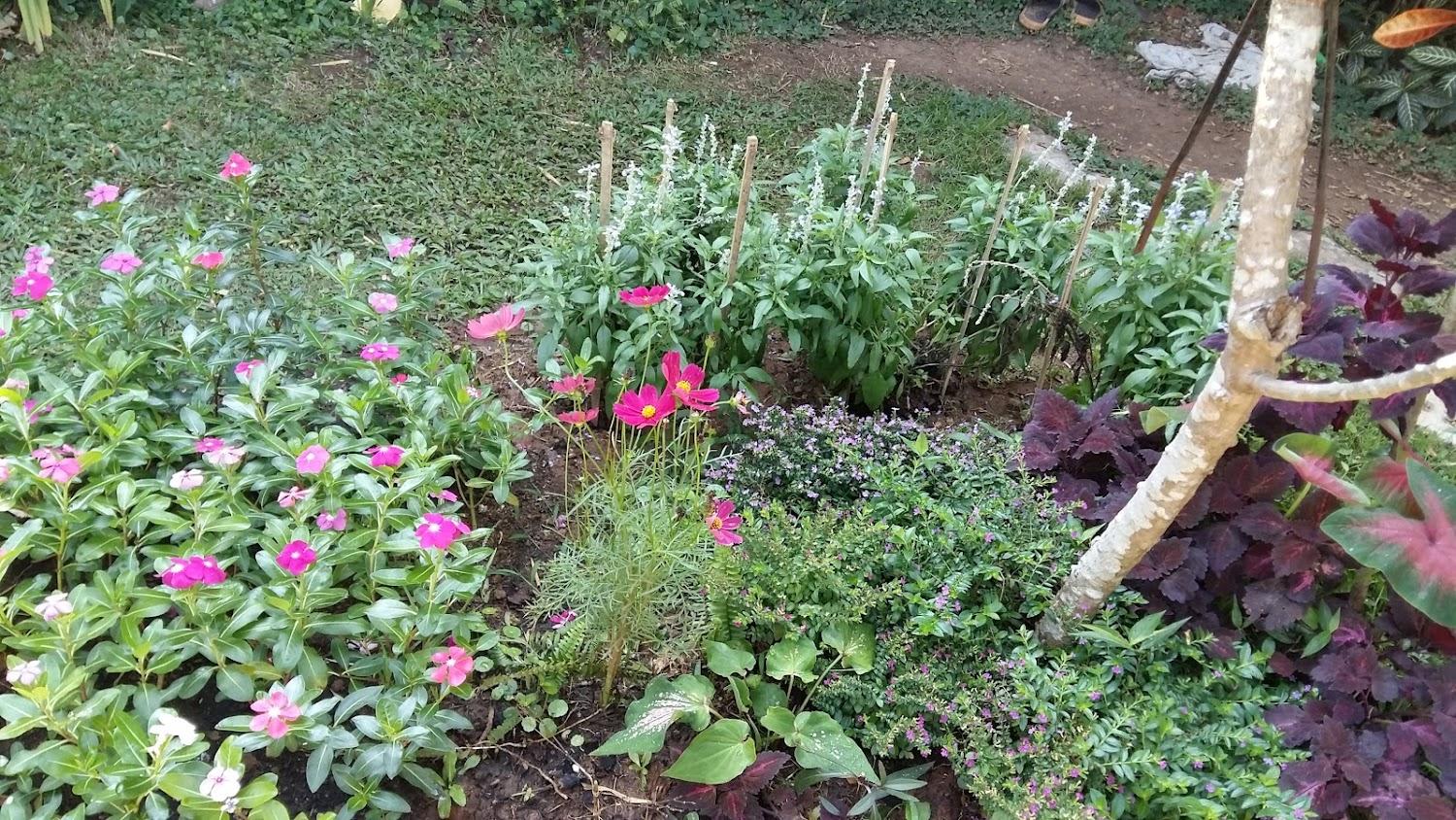Cover Image for Mon Chang Nature Home
