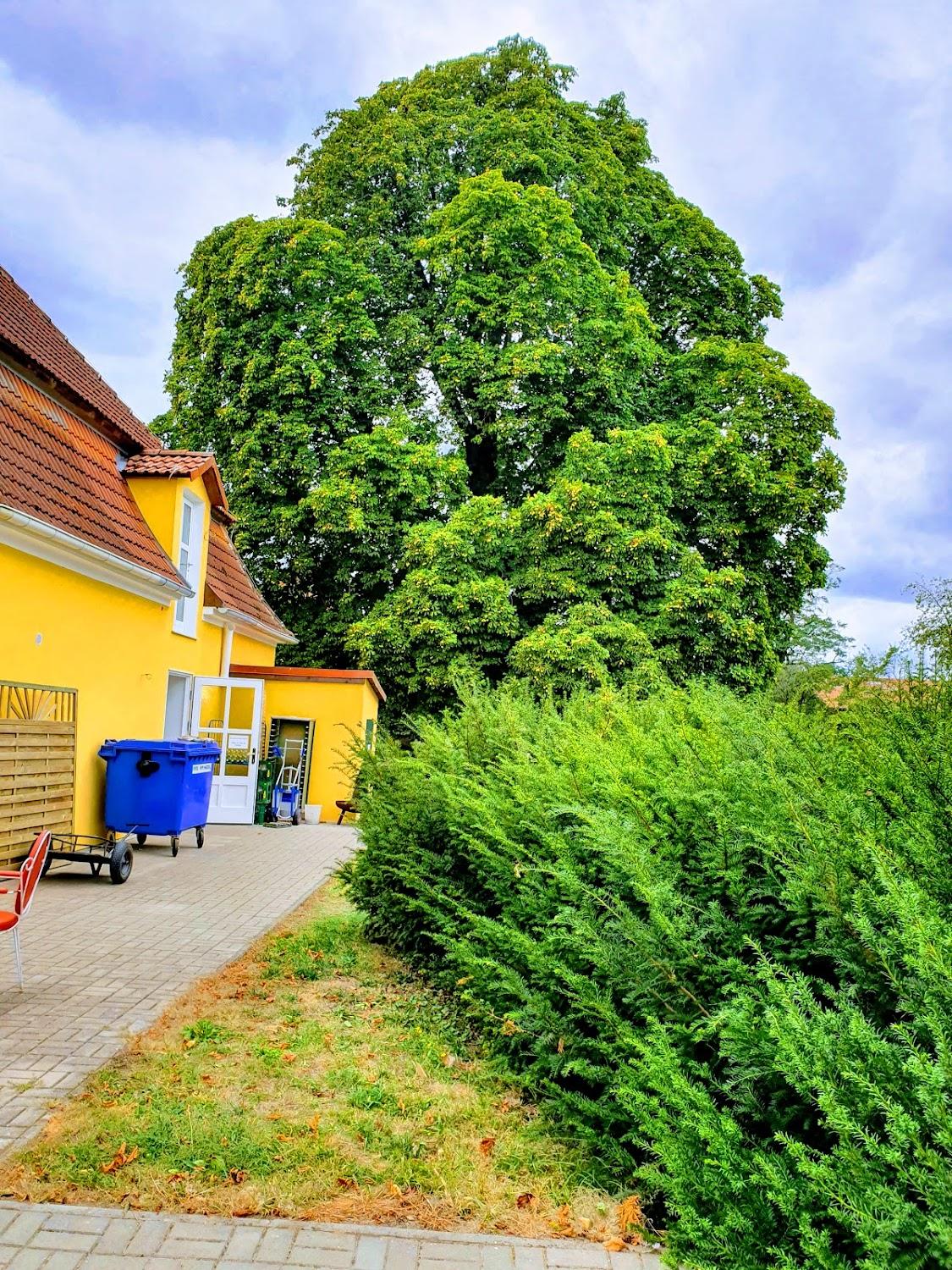 Cover Image for Haus Lichtenhain
