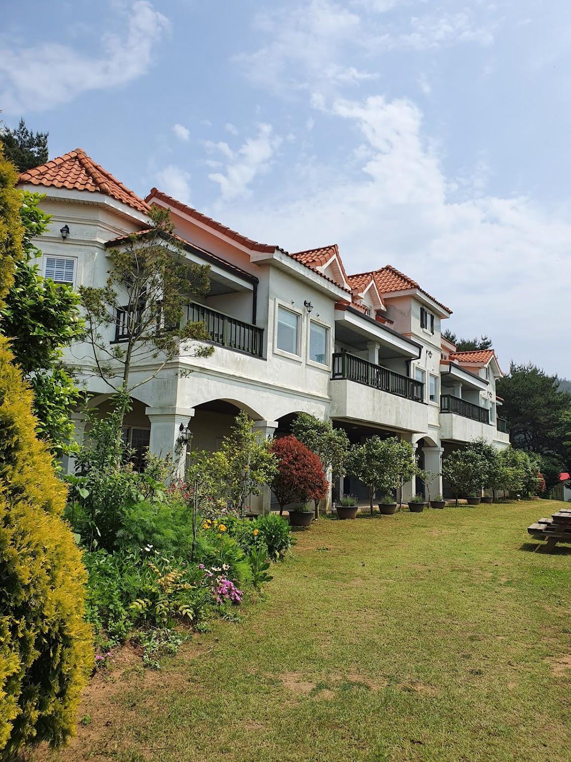 Cover Image for 장꽁펜션