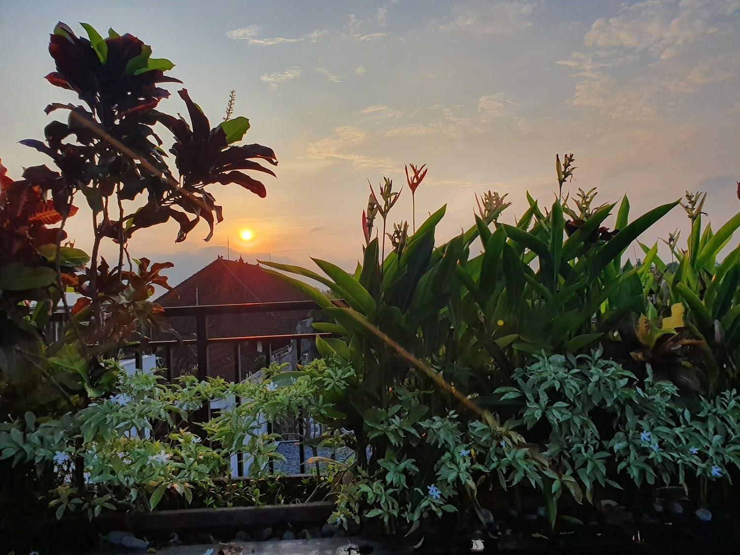 Cover Image for Puri Padma Hotel