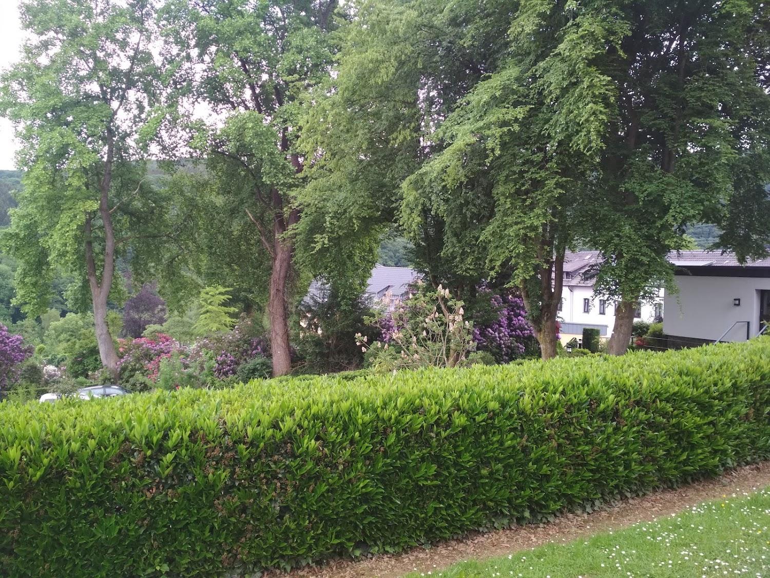 Cover Image for Waldhaus Herchen
