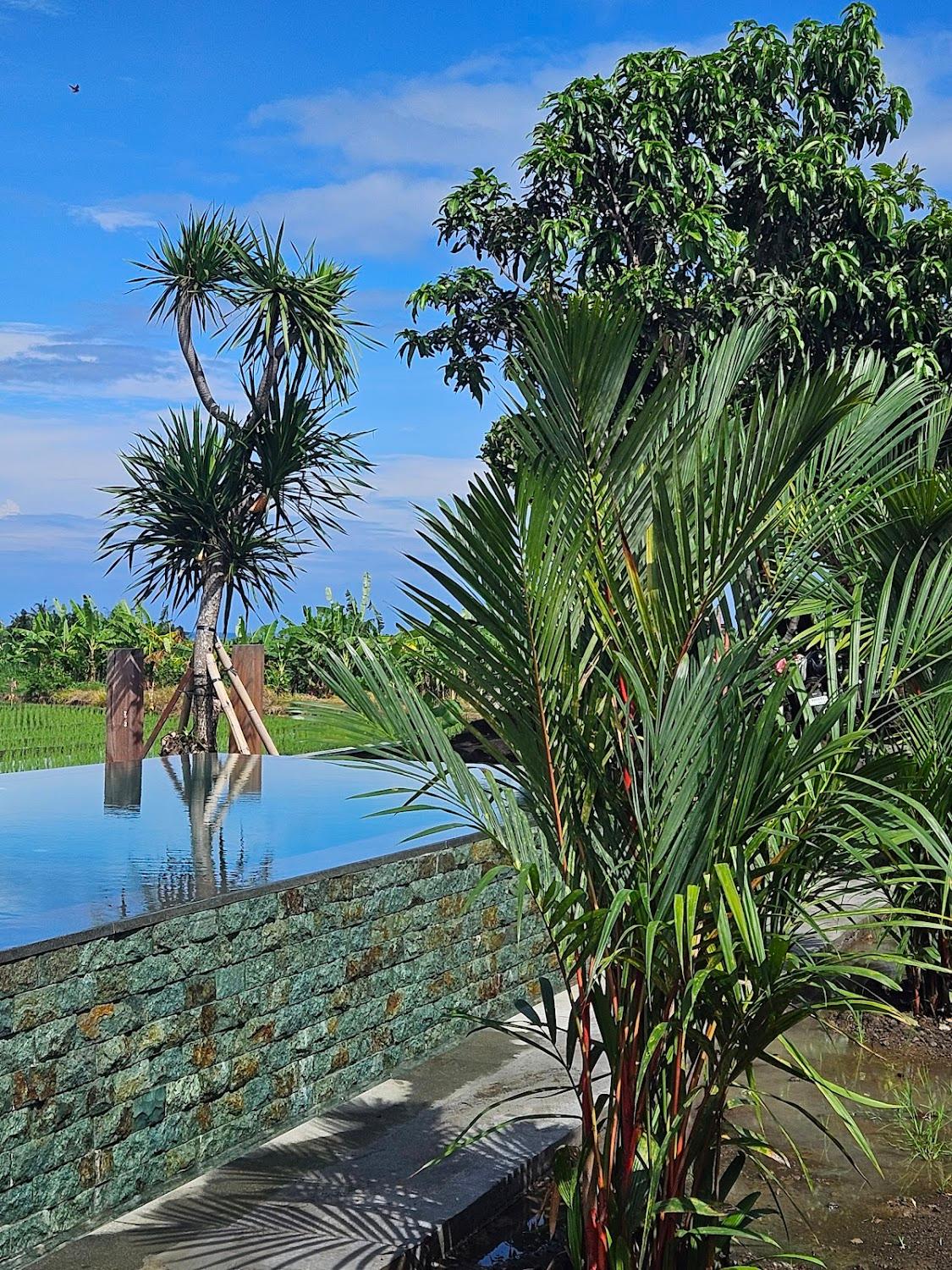 Cover Image for Green Point Villa