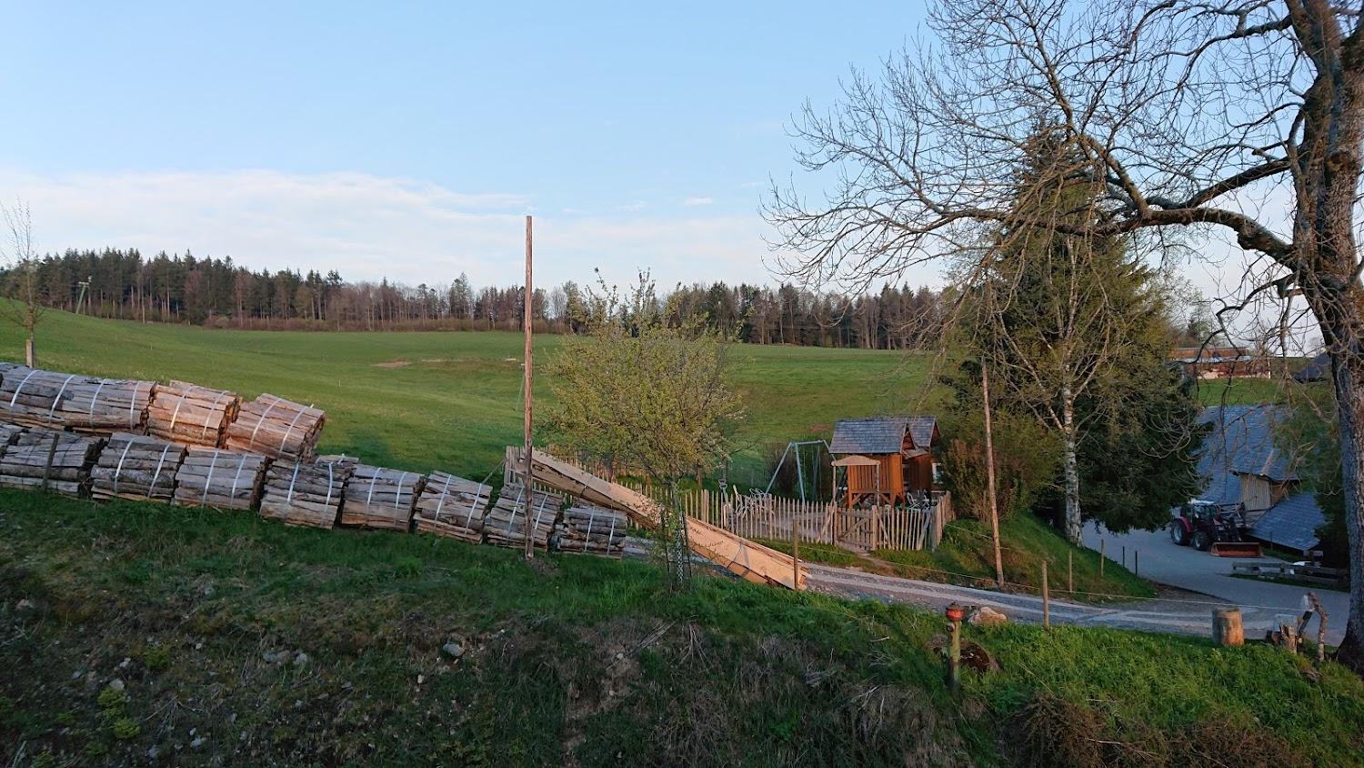 Cover Image for Islandpferdegestüt Scherzingerhof