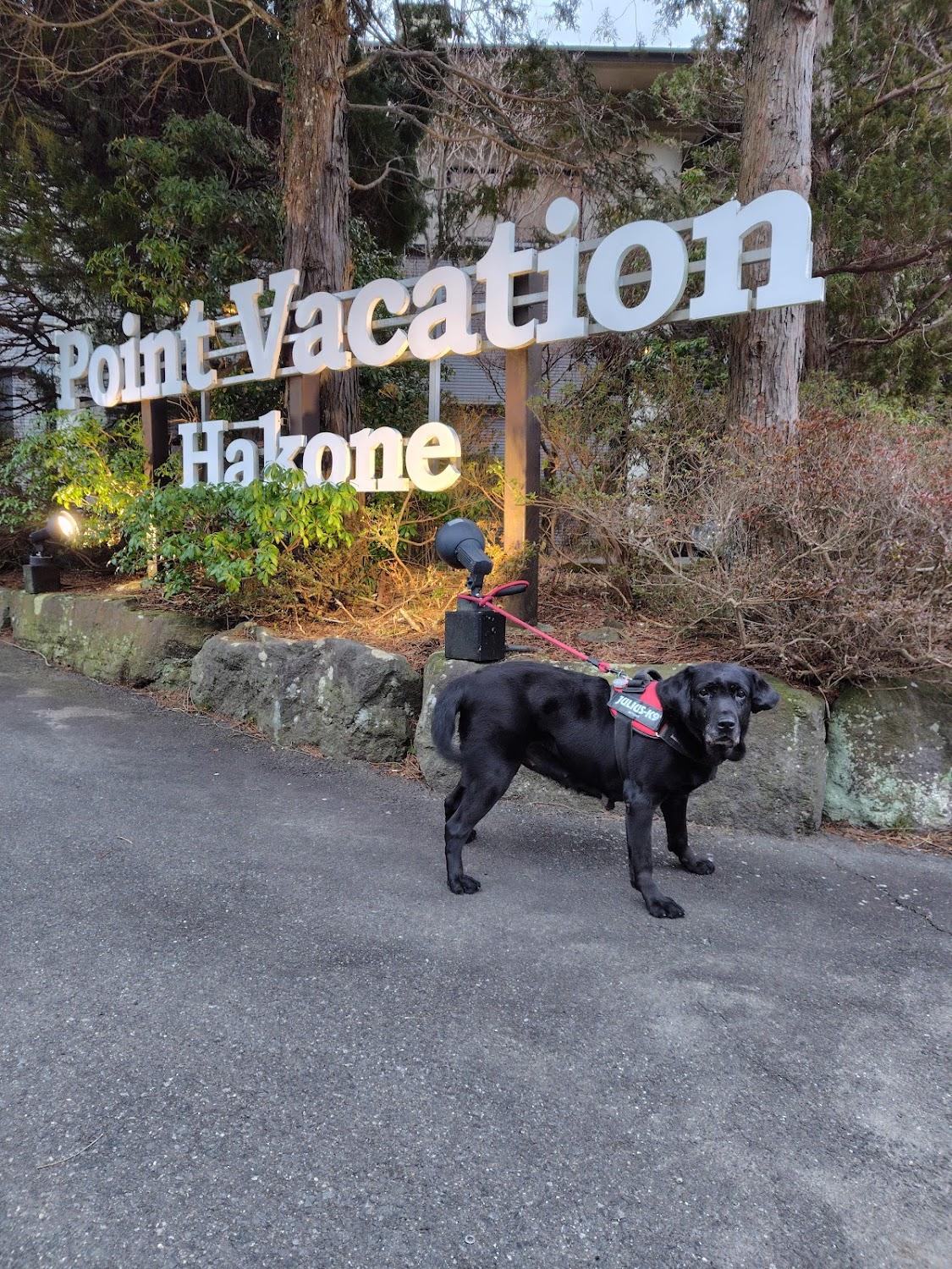 Cover Image for Point Vacation Hakone