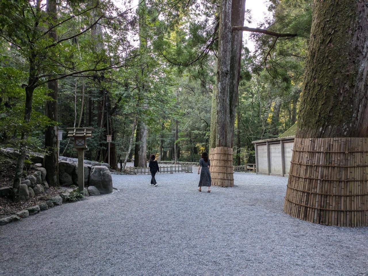 Cover Image for 伊勢 森羅（shinra）