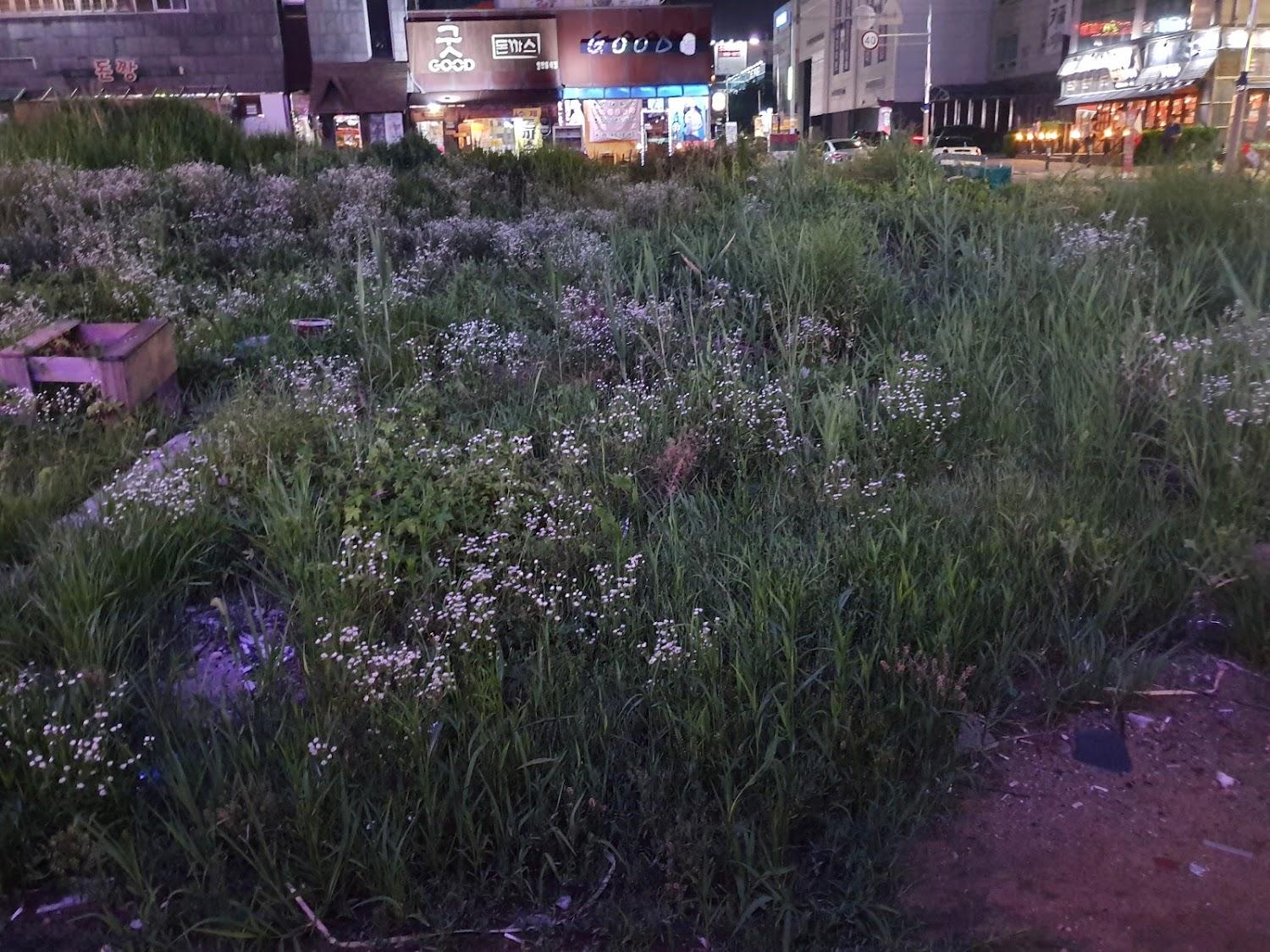 Cover Image for 거기모텔