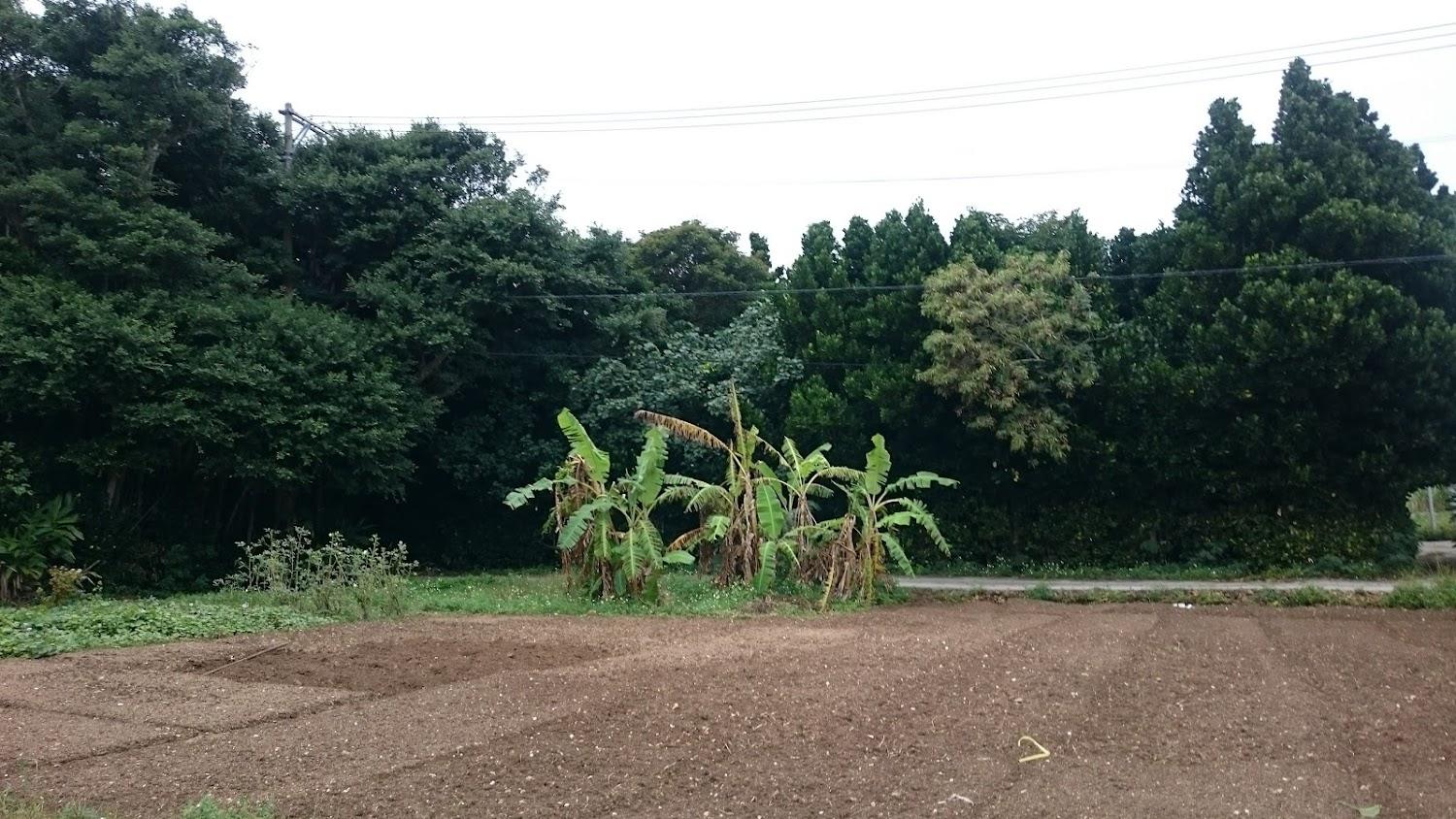 Cover Image for ヒートウェーブ
