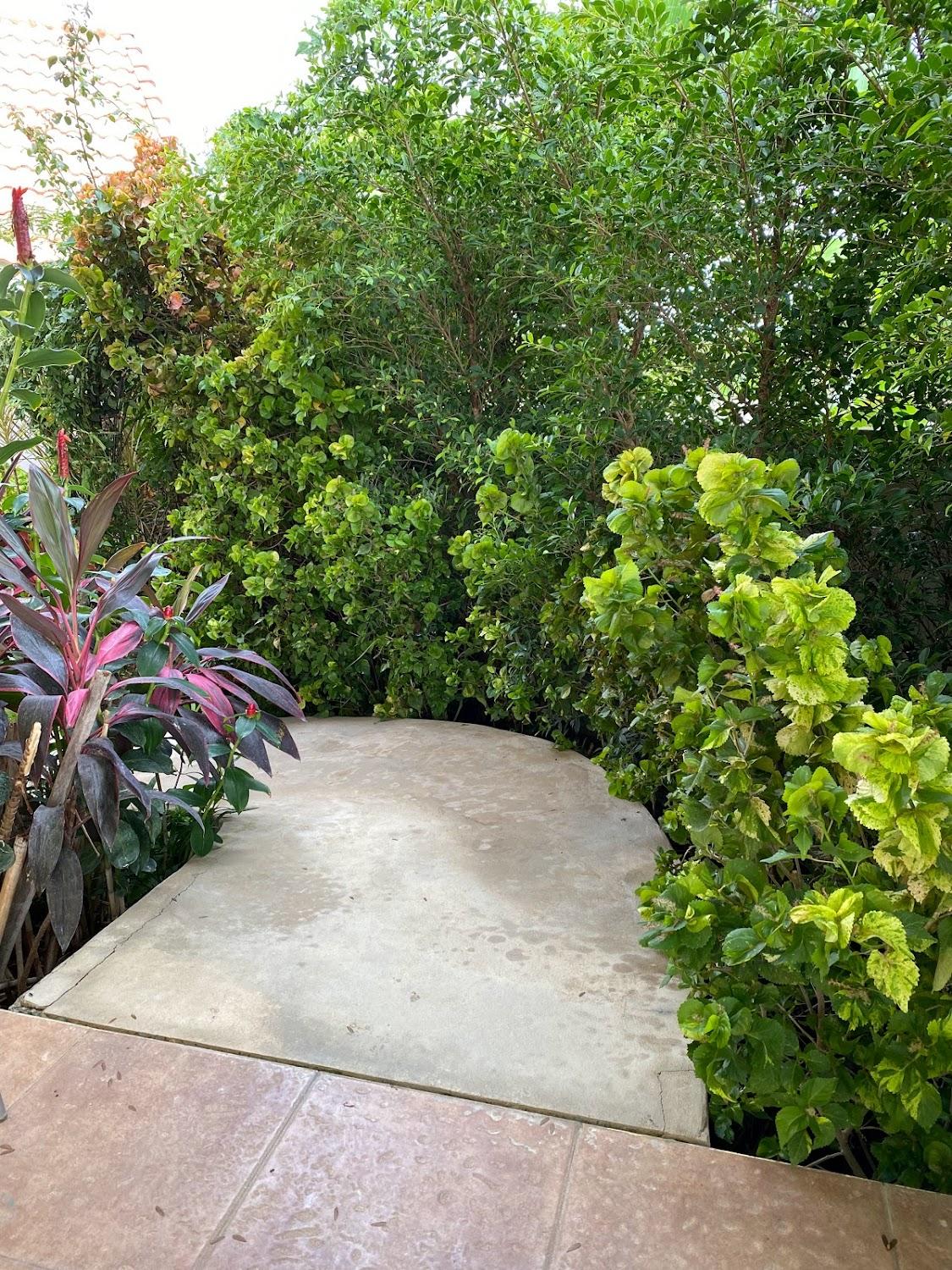 Cover Image for Chiangmai Courtyard Residence บ้านถวาย