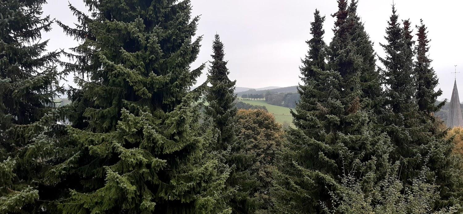 Cover Image for Gästehaus Winterberg